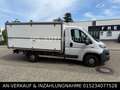Fiat Ducato DUCATO*PRITSCHE*KOFFER*KLIMA* Blanco - thumbnail 4