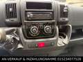 Fiat Ducato DUCATO*PRITSCHE*KOFFER*KLIMA* Blanco - thumbnail 13