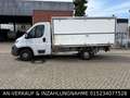 Fiat Ducato DUCATO*PRITSCHE*KOFFER*KLIMA* Blanco - thumbnail 2