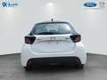 Mazda 2 Hybrid 1.5 VVT-i 116 CVT PRIME-LINE Weiß - thumbnail 5