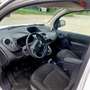Renault Kangoo dCi 90 FAP Grand-KLIMA-Schiebetür* Weiß - thumbnail 10