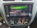 Skoda Octavia Combi RS 245 Groen - thumbnail 15
