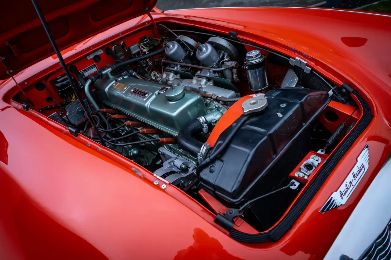 Austin-Healey 3000 BN7 MKI, foto 11