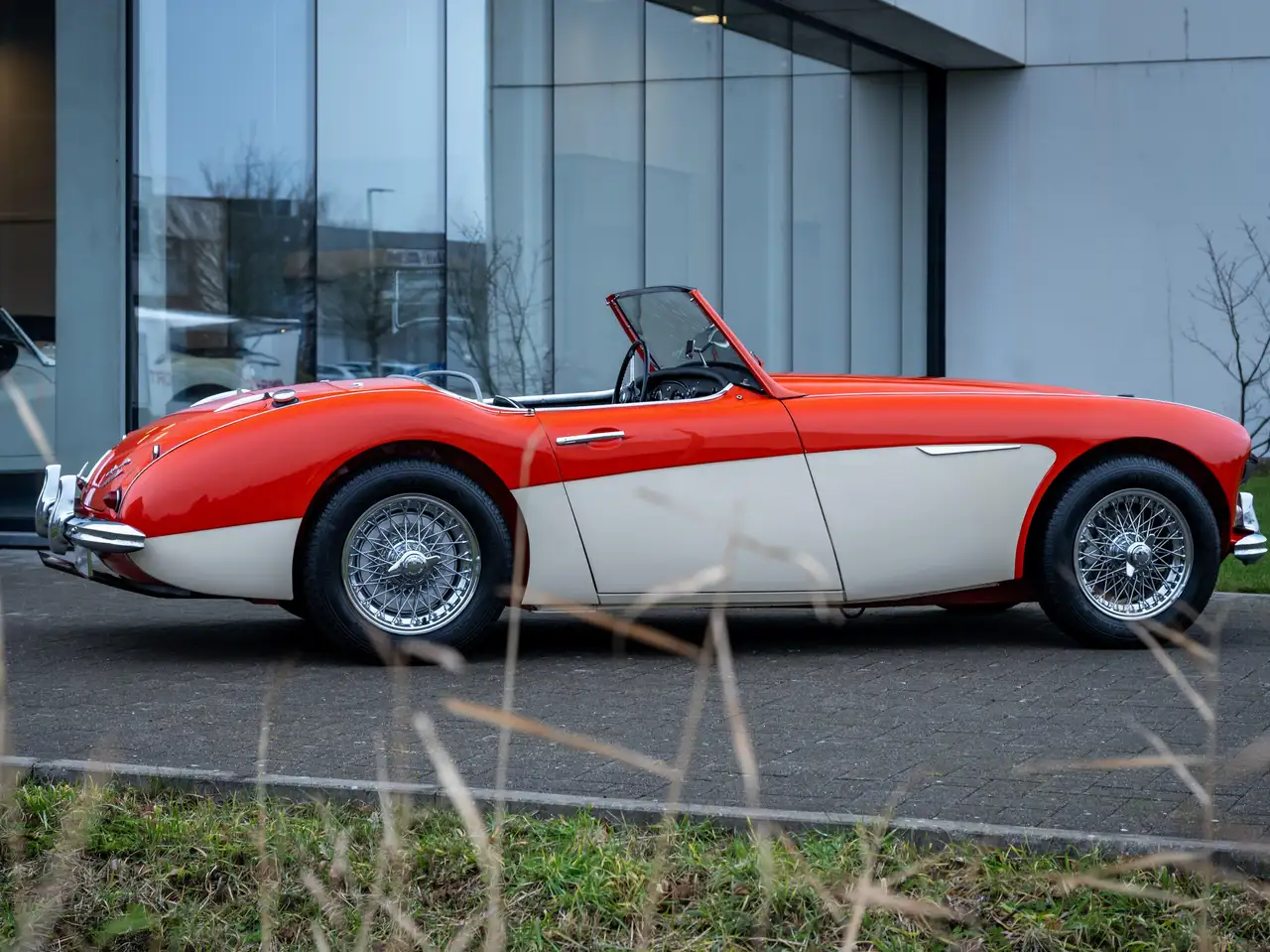 Austin-Healey 3000 BN7 MKI, foto 4