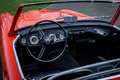 Austin-Healey 3000 BN7 MKI Orange - thumbnail 7