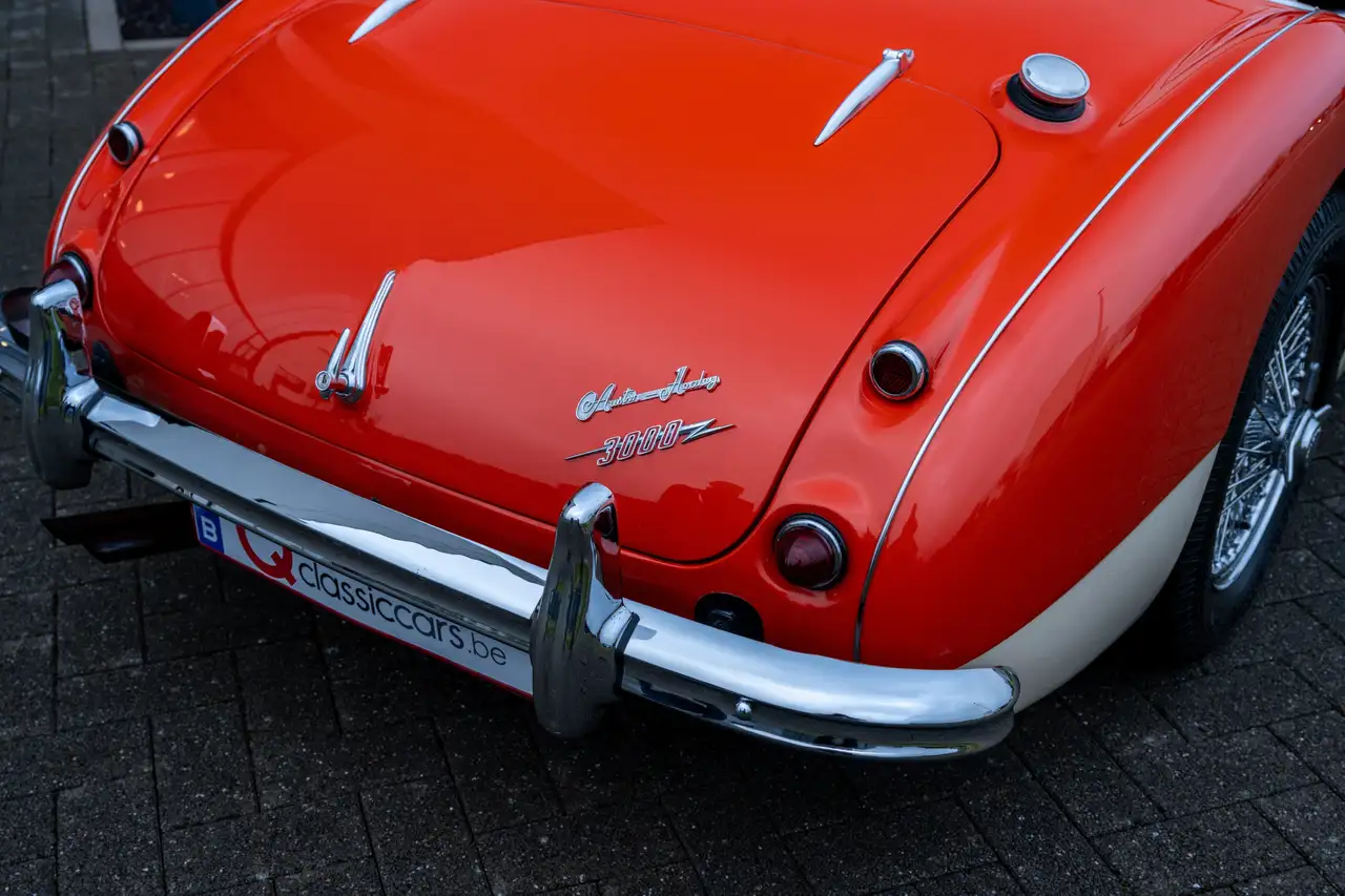 Austin-Healey 3000 BN7 MKI, foto 8