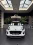 Ford Puma 1.0 EcoBoost Hybrid Titanium Automaat!!! Blanc - thumbnail 2