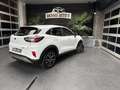 Ford Puma 1.0 EcoBoost Hybrid Titanium Automaat!!! Blanc - thumbnail 5