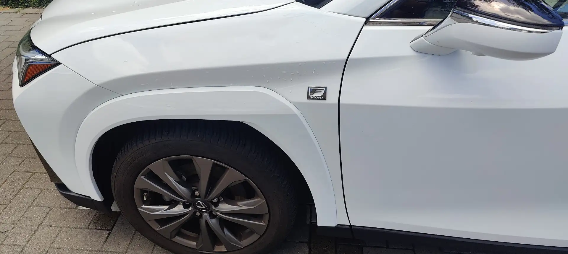 Lexus UX 250h F SPORT Wit - 2