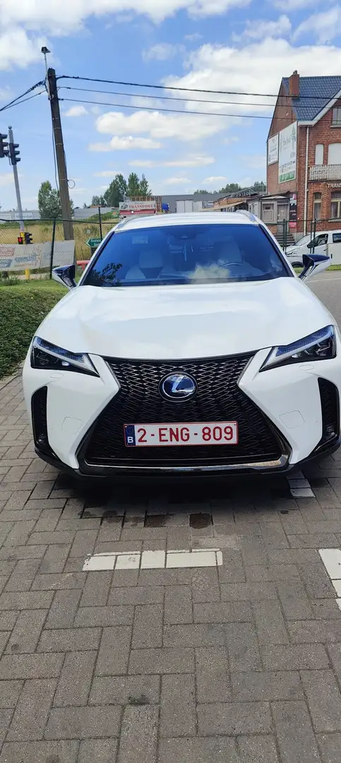 Lexus UX 250h F SPORT Wit - 1