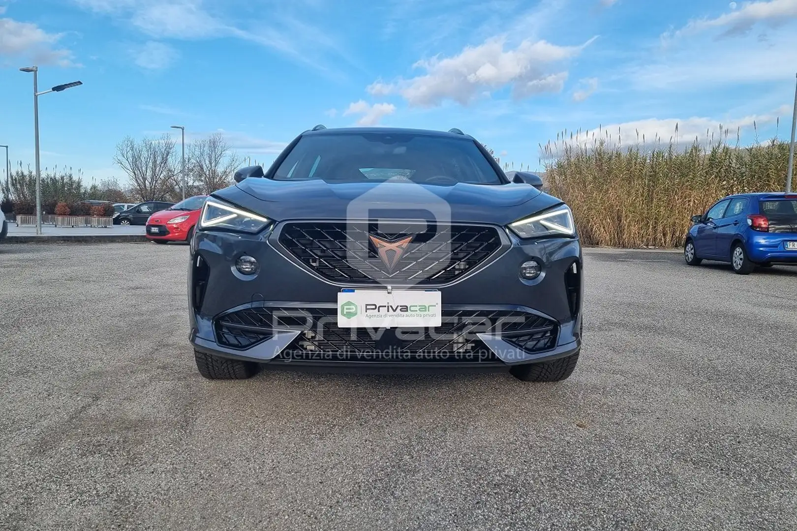 CUPRA Formentor Formentor 2.0 TDI 4Drive DSG Argento - 2