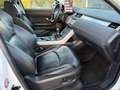 Land Rover Range Rover Evoque 2.0TD4 HSE 4WD 150 Blanco - thumbnail 17