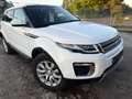 Land Rover Range Rover Evoque 2.0TD4 HSE 4WD 150 Blanco - thumbnail 10