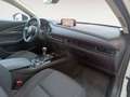 Mazda CX-30 2025 2.5L E-SKYACTIV G 103KW (140CV) 6MT FWD HOMUR Blanc - thumbnail 15