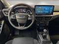 Ford Focus Tunier Titanium 1.0/B&O/Kamera/Allwetter/SHz/LED Grau - thumbnail 10