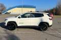 Jeep Compass Compass 1.6 Multijet II 2WD Night Eagle Bianco - thumbnail 8