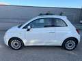 Fiat 500 1.2 69cv Lounge easypower Gpl 69cv TEL/CLIMA/TETTO Blanc - thumbnail 4