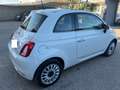 Fiat 500 1.2 69cv Lounge easypower Gpl 69cv TEL/CLIMA/TETTO Blanc - thumbnail 7