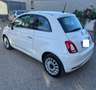 Fiat 500 1.2 69cv Lounge easypower Gpl 69cv TEL/CLIMA/TETTO Blanc - thumbnail 5