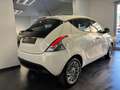 Lancia Ypsilon 1.2 69 CV 5 porte GPL Ecochic Gold Bianco - thumbnail 6