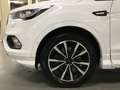Ford Kuga 1.5 TDCI 88KW ST-LINE 2WD 5P Blanco - thumbnail 11