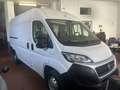 Fiat Ducato MH2 Multijet e6D-temp Weiß - thumbnail 3