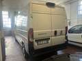 Fiat Ducato MH2 Multijet e6D-temp Weiß - thumbnail 4