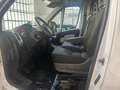 Fiat Ducato MH2 Multijet e6D-temp Weiß - thumbnail 9