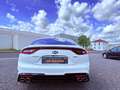 Kia Stinger GT 4WD Kein OPF BI LED MwSt Weiß - thumbnail 7