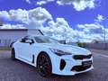 Kia Stinger GT 4WD Kein OPF BI LED MwSt Weiß - thumbnail 3
