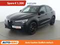 Alfa Romeo Stelvio 2.0 Turbo B-Tech Q4 Schwarz - thumbnail 1