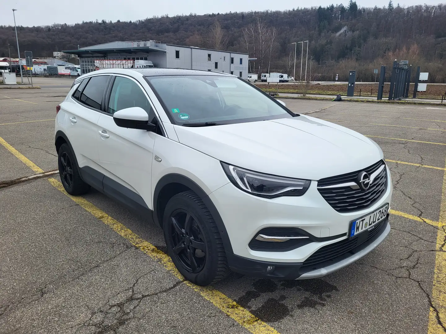 Opel Grandland X Grandland X Weiß - 1
