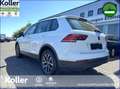 Volkswagen Tiguan Tiguan 1.5 TSI DSG Navi Kamera eHeckklappe Weiß - thumbnail 8