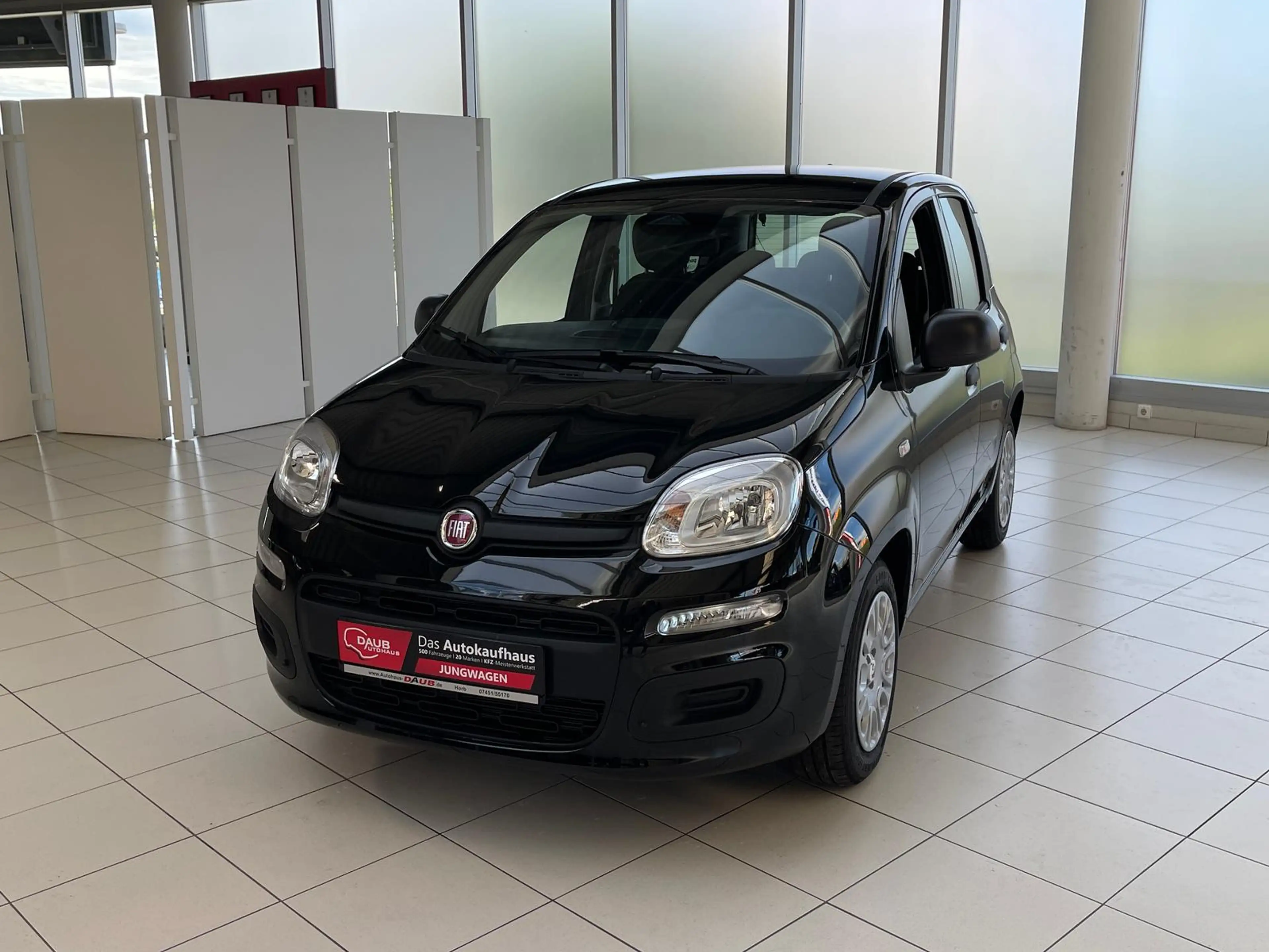 Fiat Panda 1.0 Mild Hybrid Pandina Pop+Klima+PDC hi.+ — photo 2