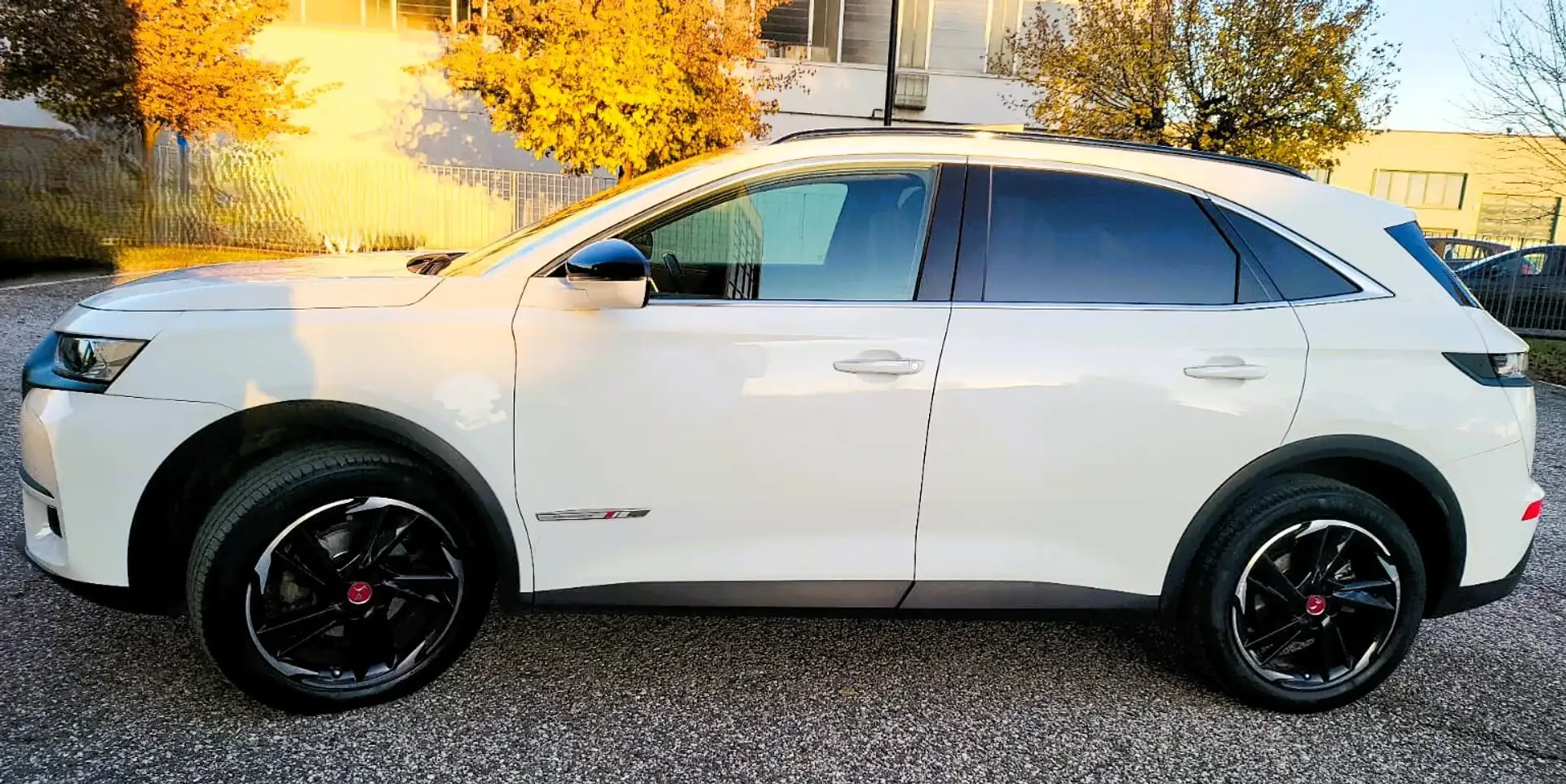 DS Automobiles DS 7 Crossback DS7 Crossback 1.5 hdi Performance Line+ 130cv auto Bianco - 1