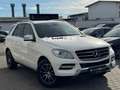 Mercedes-Benz ML 250 SPORT+2.HAND+LED+NAVI+ALCANTARA+AHK+SHZ Weiß - thumbnail 1