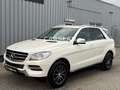 Mercedes-Benz ML 250 SPORT+2.HAND+LED+NAVI+ALCANTARA+AHK+SHZ Weiß - thumbnail 10