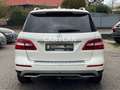 Mercedes-Benz ML 250 SPORT+2.HAND+LED+NAVI+ALCANTARA+AHK+SHZ Weiß - thumbnail 5