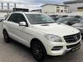 Mercedes-Benz ML 250 SPORT+2.HAND+LED+NAVI+ALCANTARA+AHK+SHZ Weiß - thumbnail 12
