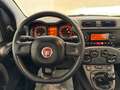 Fiat Panda III 1.0 hybrid Easy s Gris - thumbnail 11