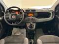 Fiat Panda III 1.0 hybrid Easy s Gris - thumbnail 9