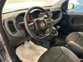 Fiat Panda III 1.0 hybrid Easy s Gris - thumbnail 5