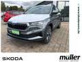 Skoda Karoq Tour AHZV SmartLink Kamera SHZ Grau - thumbnail 1