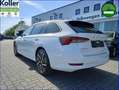Skoda Octavia Combi 1.4 TSI IV DSG Sport Panoramadach Bianco - thumbnail 8