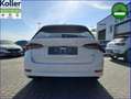 Skoda Octavia Combi 1.4 TSI IV DSG Sport Panorama AHK Weiß - thumbnail 7