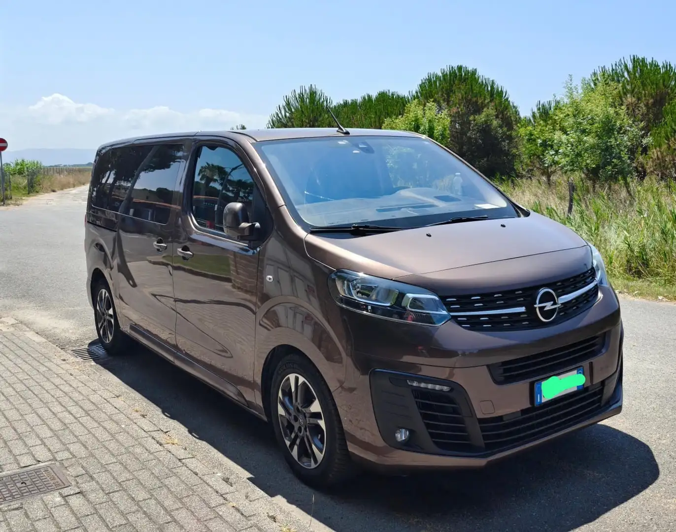 Opel Zafira Life Business Marrone - 1