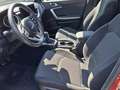 Kia Ceed / cee'd ceed 1,0 T-GDI GPF Silber Rot - thumbnail 4
