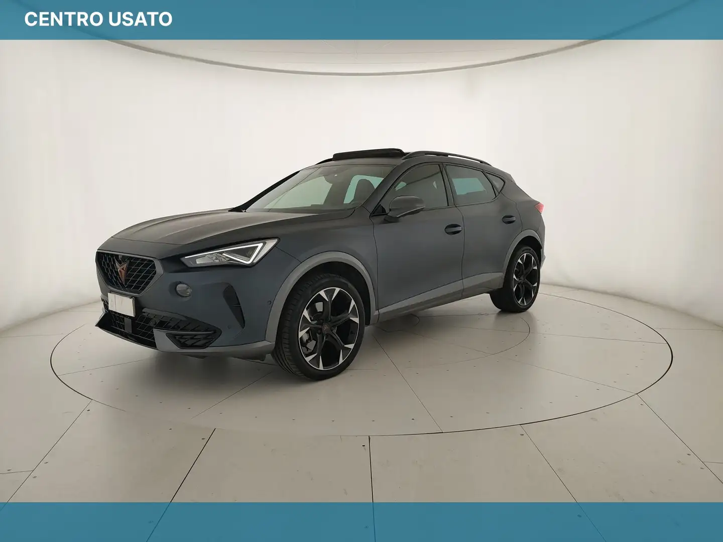 CUPRA Formentor 2.0 TSI 4drive 190 CV DSG Gris - 1