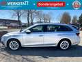 Skoda Octavia Style Grau - thumbnail 1