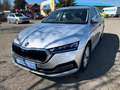 Skoda Octavia Style Grau - thumbnail 3